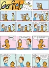 Garfield 50: Garfield, král zvěřiny - galerie 4
