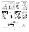 Calvin a Hobbes 1 - galerie 4