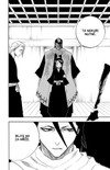 Bleach 12: Flower on the Precipice - galerie 9