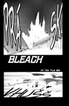 Bleach 16:  Night of Wijnruit - galerie 4