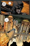 Znovuzrození hrdinů DC: Batman 1: Já jsem Gotham (váz.) - galerie 4