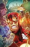Znovuzrození hrdinů DC: Flash 2: Rychlost temnoty (váz.) - galerie 1