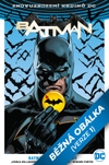 Znovuzrození hrdinů DC: Batman/Flash: Odznak - galerie 9
