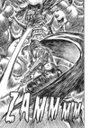 Berserk 14 - galerie 7