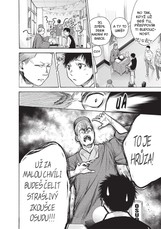 Mládí na hřišti 8: Než kytka rozkvete