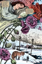 Sandman omnibus, svazek druhý (limitovaná číslovaná verze)