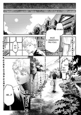 Léto, kdy umřel Hikaru