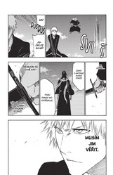 Bleach 45: The Burnout Inferno