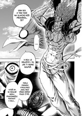 One-Punch Man 17: To proto, že jsem Plešoplášť?