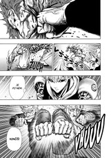 One-Punch Man 17: To proto, že jsem Plešoplášť?