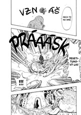 One Piece 14: Instinkty