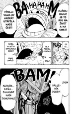 One Piece 14: Instinkty