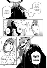 Čarodějova nevěsta 20