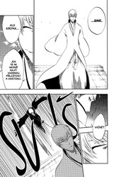 Bleach 46: Back From Blind