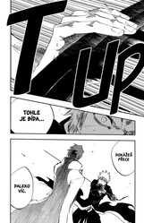 Bleach 46: Back From Blind