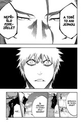 Bleach 46: Back From Blind