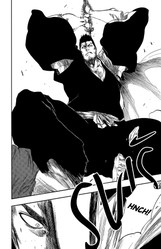 Bleach 46: Back From Blind