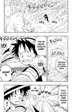 One Piece 16: Pochodeň