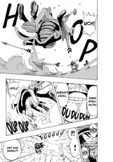 One Piece 16: Pochodeň