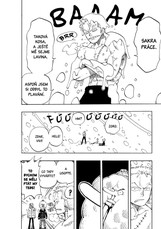 One Piece 16: Pochodeň