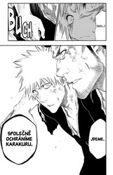 Bleach 47: End Of The Chrysalis Age