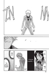 Bleach 2: Goodbye parakeet, goodnight my sista