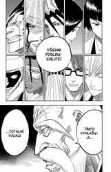 Bleach 12: Flower on the Precipice