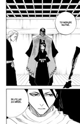 Bleach 12: Flower on the Precipice