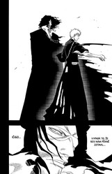 Bleach 15: Beginning of death tomorrow