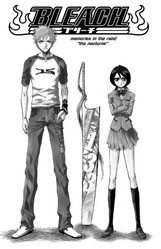 Bleach 16:  Night of Wijnruit