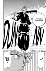 Bleach 16:  Night of Wijnruit