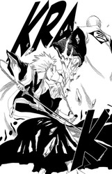 Bleach 16:  Night of Wijnruit