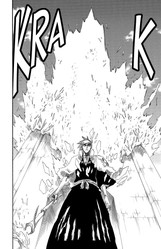 Bleach 17:   ROSA RUBICUNDIOR, LILIO CANDIDIOR