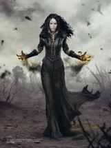 Zaklínač a jeho svět (dotisk)