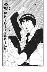 Naruto 29: Kakaši versus Itači