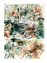 DRUUNA 2 (brož.) (Mistrovská díla evropského komiksu)