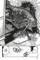 Ryby - Útok z hlubin