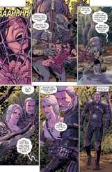 Zaklínač: Prokletí vran