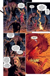 Zaklínač: Prokletí vran