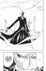 Bleach 32: Howling