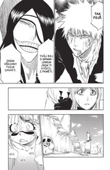 Bleach 33: The Bad Joke