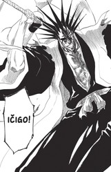 Bleach 34: King of the Kill