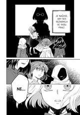 Čarodějova nevěsta 18