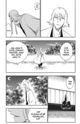 Bleach 36: Turn Back The Pendulum