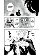 One-Punch Man 11: Hmyzí velepříšera
