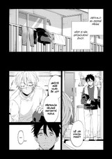 Pokoj v barvách štěstí 8