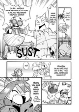 Pokémon 17 (Ruby a Sapphire)