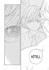 Ach, vy dívky mládím zmítané 7