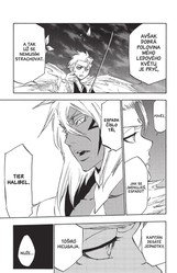 Bleach 42: Shock of the Queen