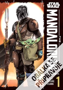 Star Wars: Mandalorian 1